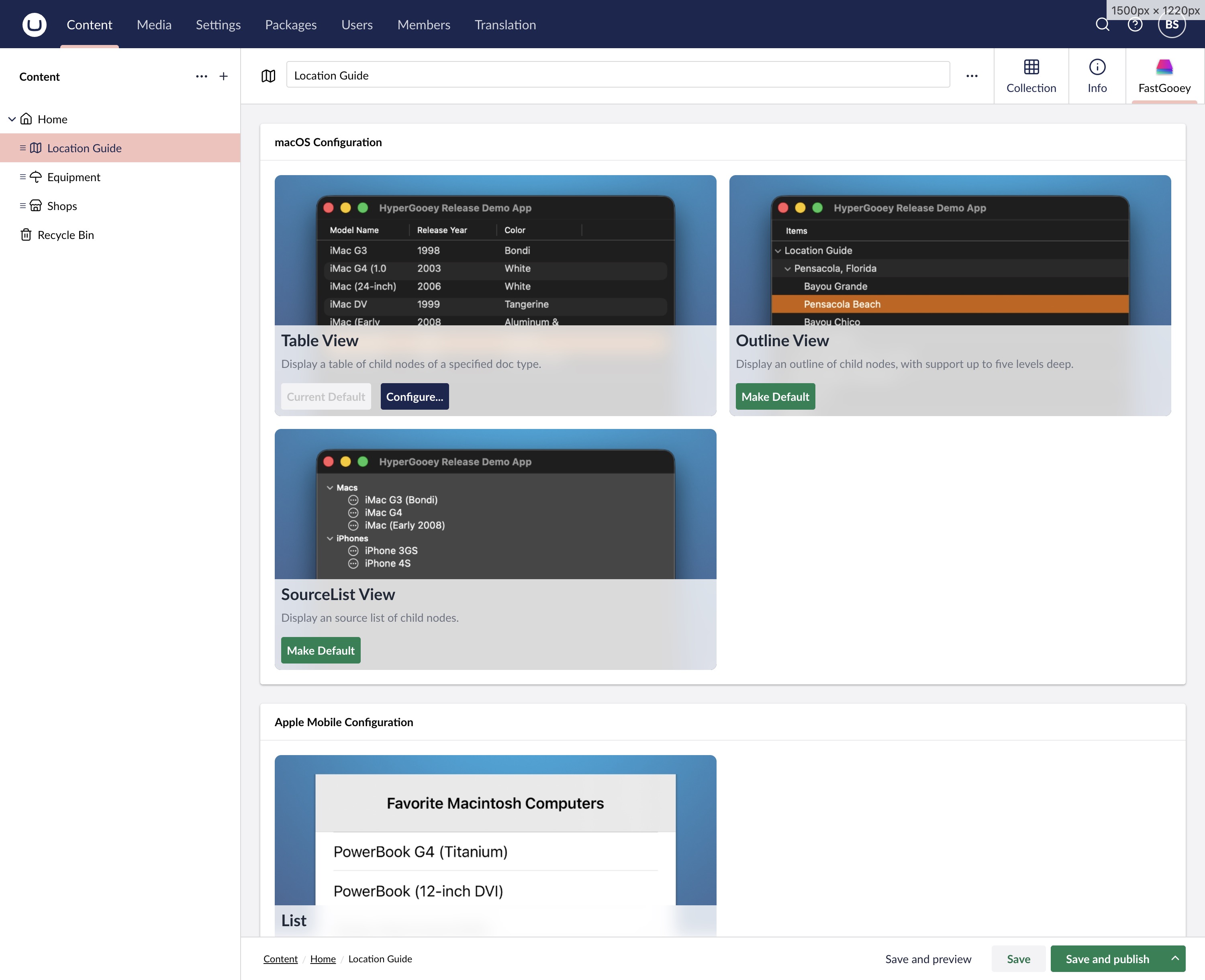Umbraco backoffice workflow for a FastGooey self-hosted project.